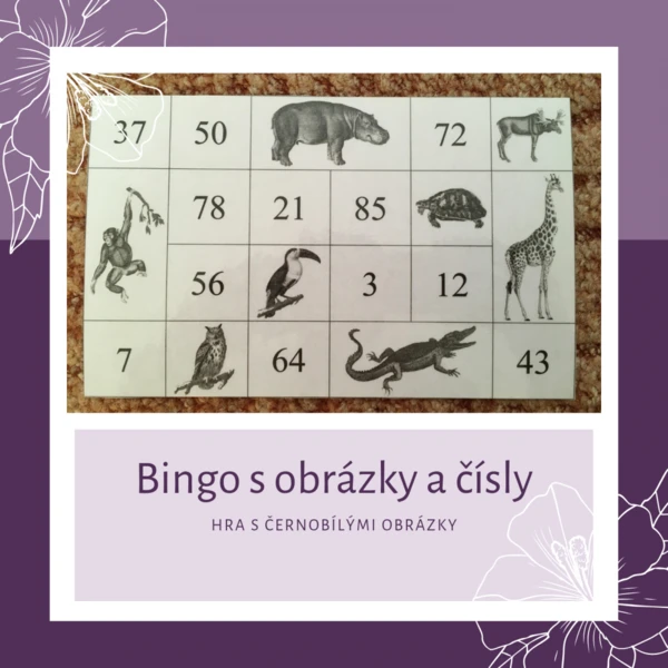 Bingo s obrázky a čísly - černobílé 1