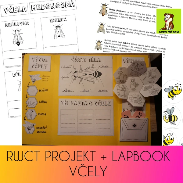 PROJEKT + LAPBOOK VČELY 1