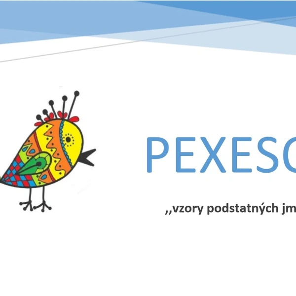 Pexeso - vzory podstatných jmen 1