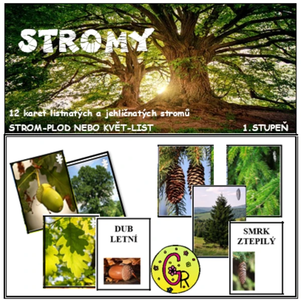 STROMY 1