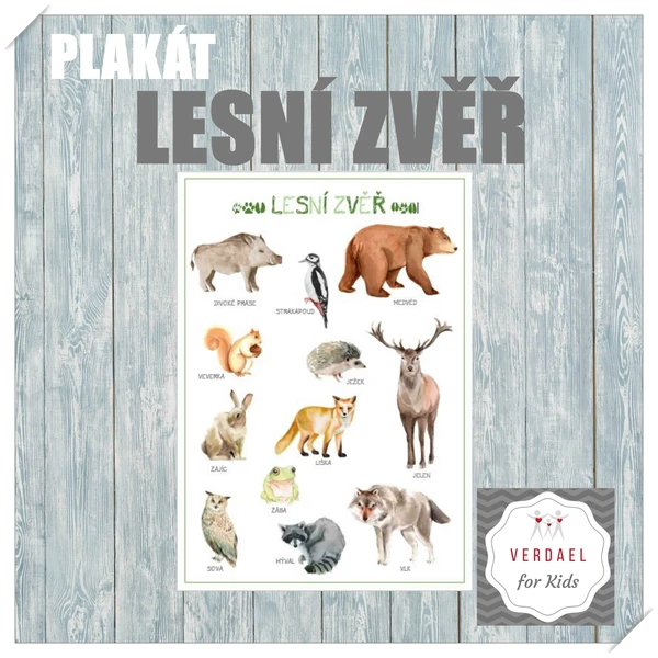 PLAKÁT LESNÍ ZVĚŘ 1