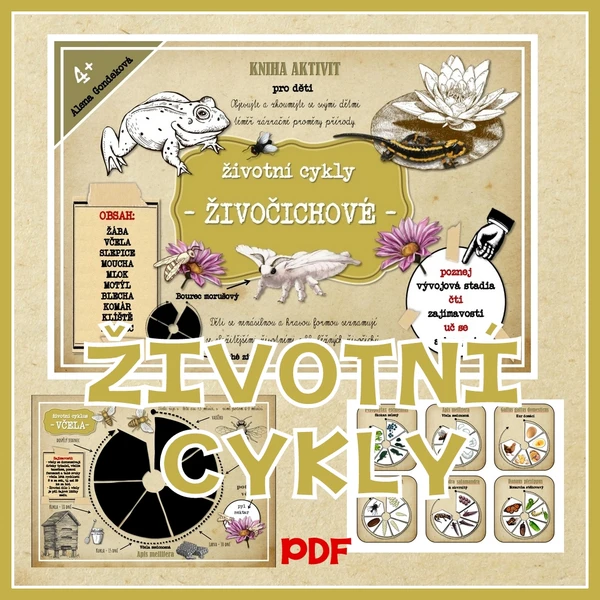 Životní cykly - živočichové a hmyz 1