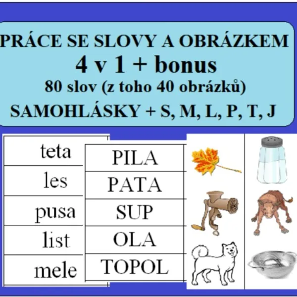 PRÁCE SE SLOVY A OBRÁZKEM 1