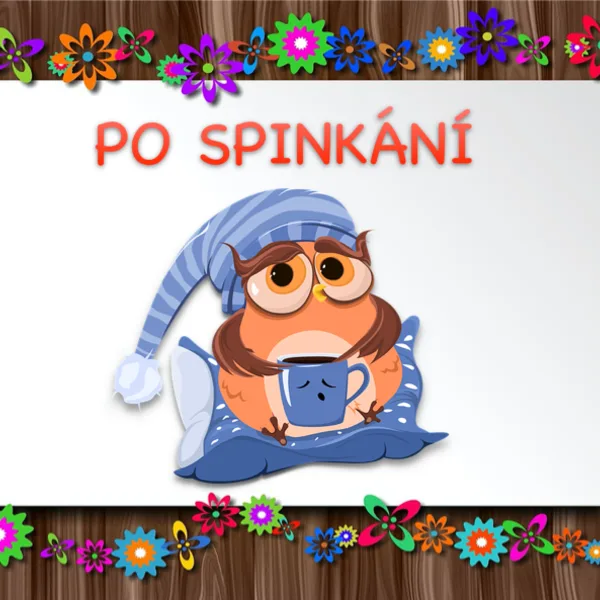 Kdy jdu domů + pravidla třídy_sovy 1
