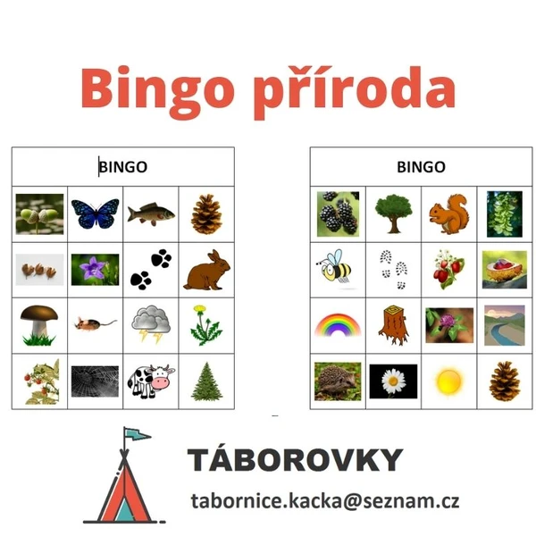 Bingo příroda 1
