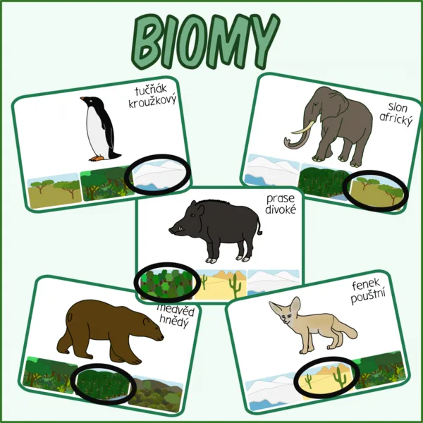Biomy 1