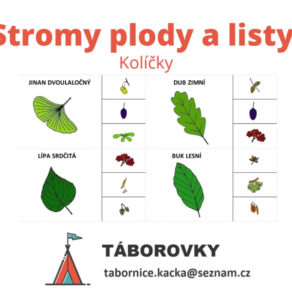 Stromy plody a listy - kolíčky 1