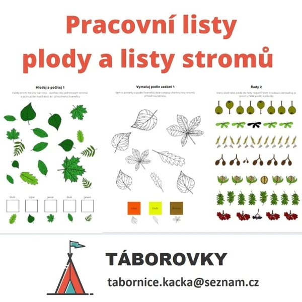 Pracovní listy plody a listy stromů 1
