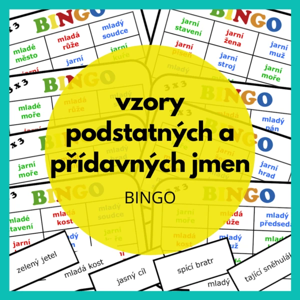 bingo - vzory podstatných a přídavných jmen 1