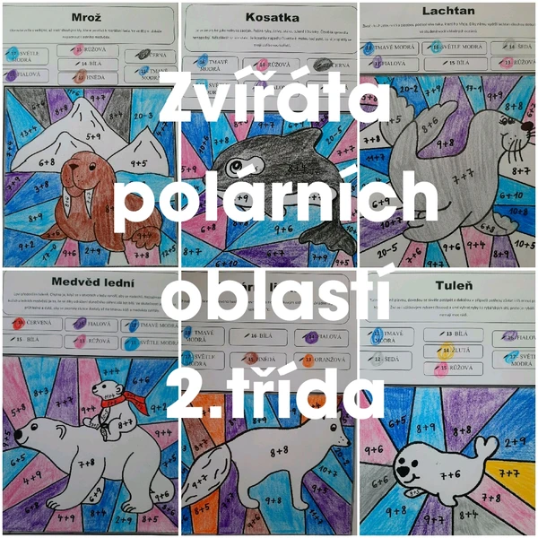 Zvířata polárních oblastí 2. třída matematika + - do 20 s přechodem přes desítku 1