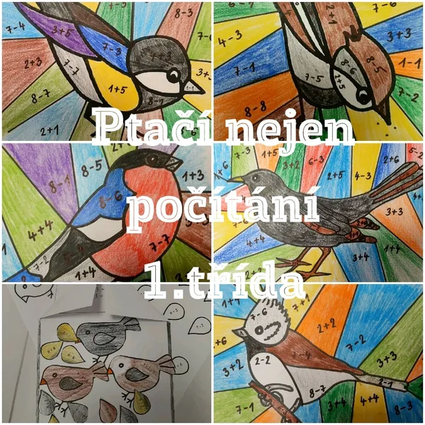 Ptačí nejen počítání 1. třída 1