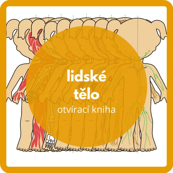 lidské tělo - otvírací kniha 1