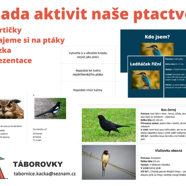 Soubor aktivit naše ptactvo 1