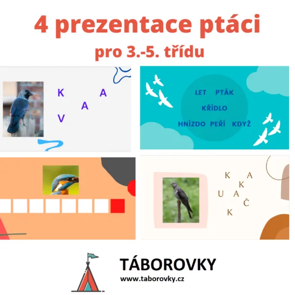 4 prezentace ptáci pro 3.-5.třídu 1