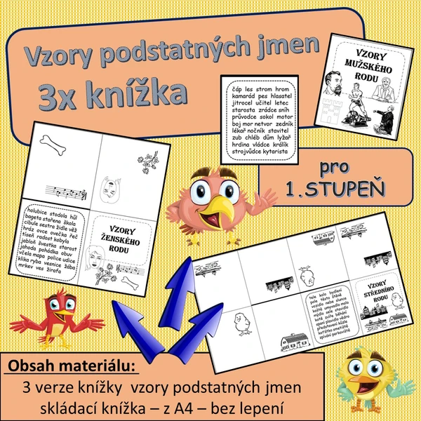 Knížka - vzory podstatných jmen 1
