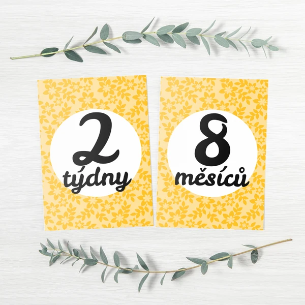 Milníkové kartičky pro miminko - 16ks 1