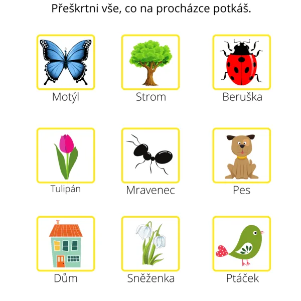 Jarní procházka 1