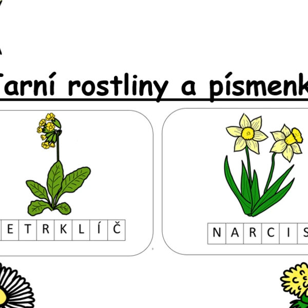 Jarní rostliny a písmenka 1
