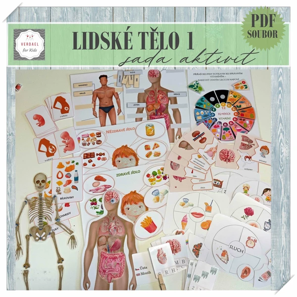 LIDSKÉ TĚLO - SADA 14 AKTIVIT 1