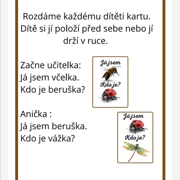 Karetní hra -Já jsem, kdo je - HMYZ A DROBNÍ ŽIVOČICHOVÉ 1