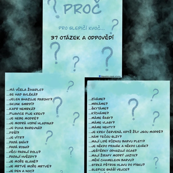 Proč? Pro slepičí kvoč. 1