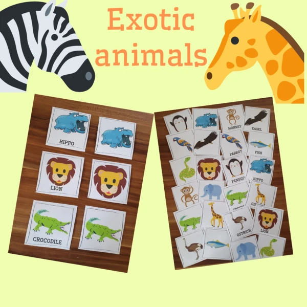 Exotic animals - MY SAFARI 1