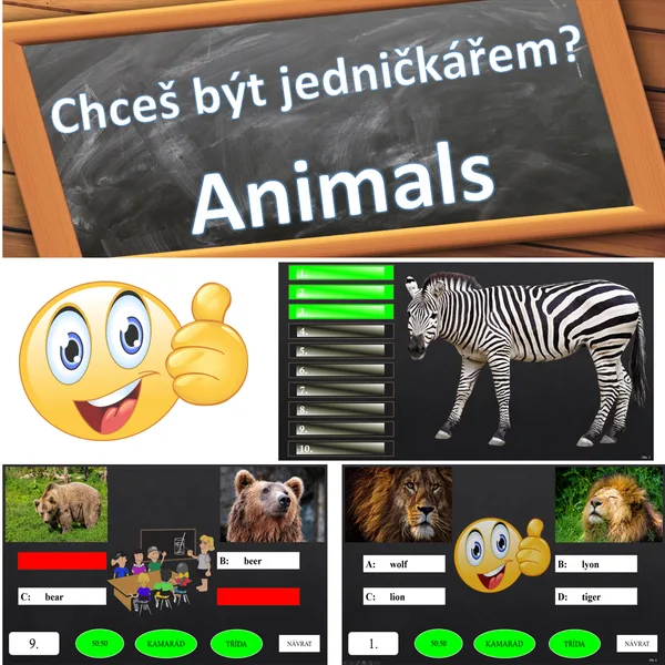 Chceš být jedničkářem? Animals 1
