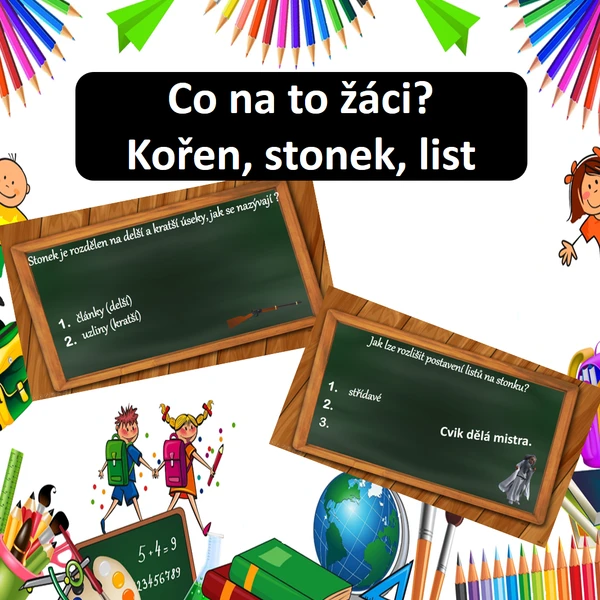 Co na to žáci? Kořen, stonek, list 1