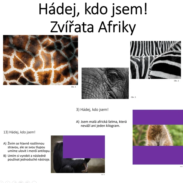 Hádej, kdo jsem! Zvířata Afriky 1