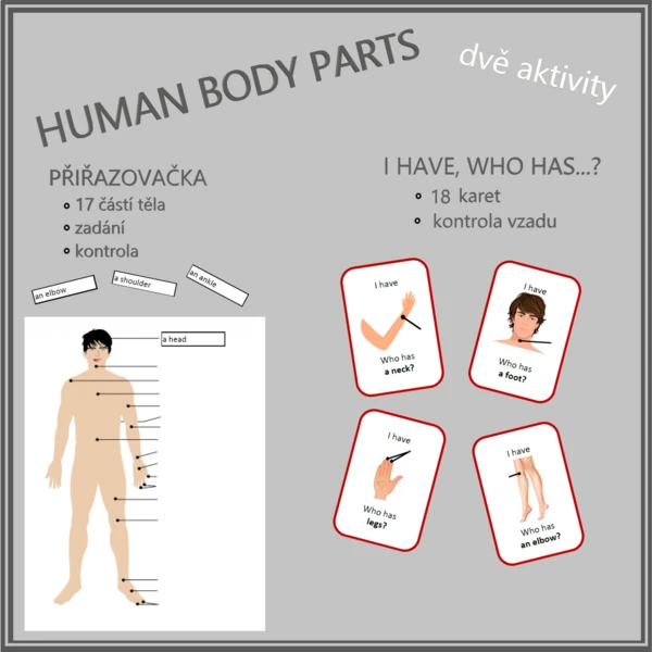 Human body - I have, who has… a přiřazovačka 1