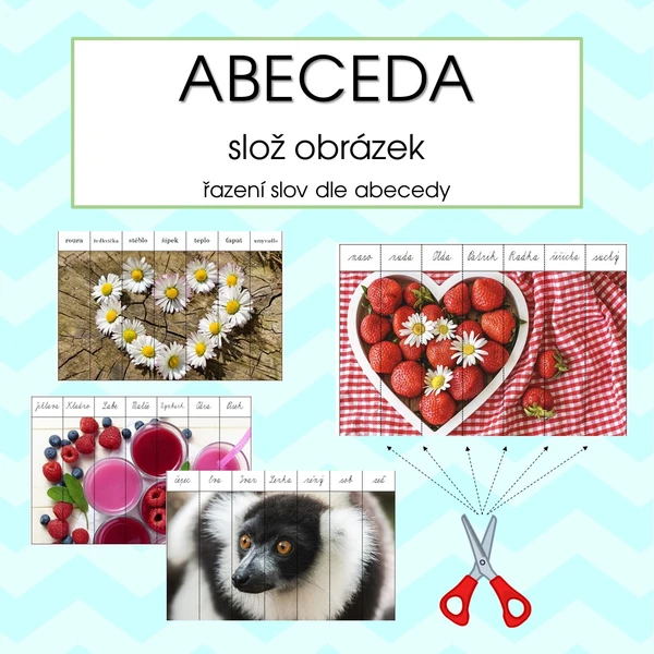 ABECEDA - řazení slov dle abecedy - slož obrázek 1