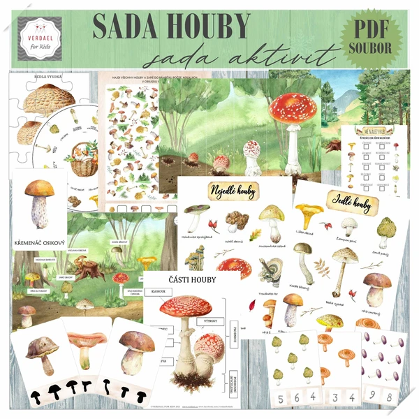 SADA HOUBY 1