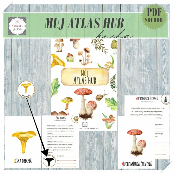 MŮJ ATLAS HUB 1