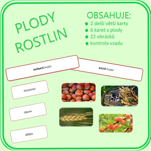 Plody rostlin 1