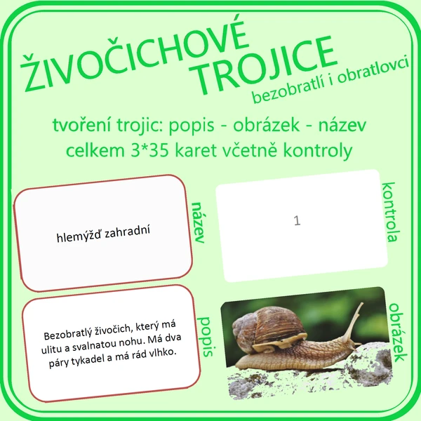Živočichové - trojice (bezobratlí, obratlovci) 1