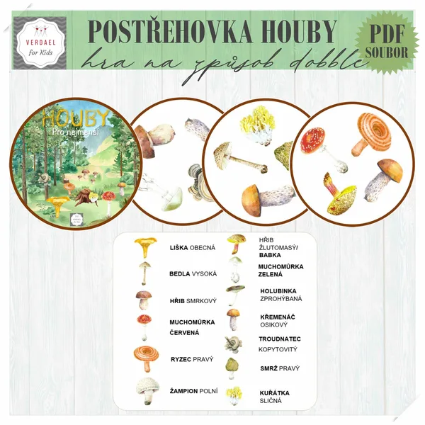 Postřehovka HOUBY 1