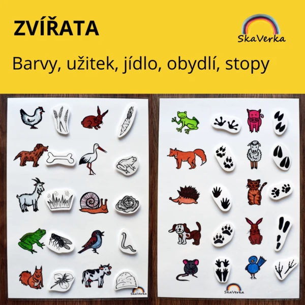 ZVÍŘATA - PŘIŘAZOVÁNÍ  /barvy, stopy, jídlo, užitek, obydlí/ 1