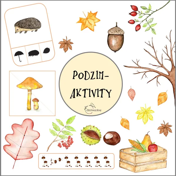PODZIM- AKTIVITY 1