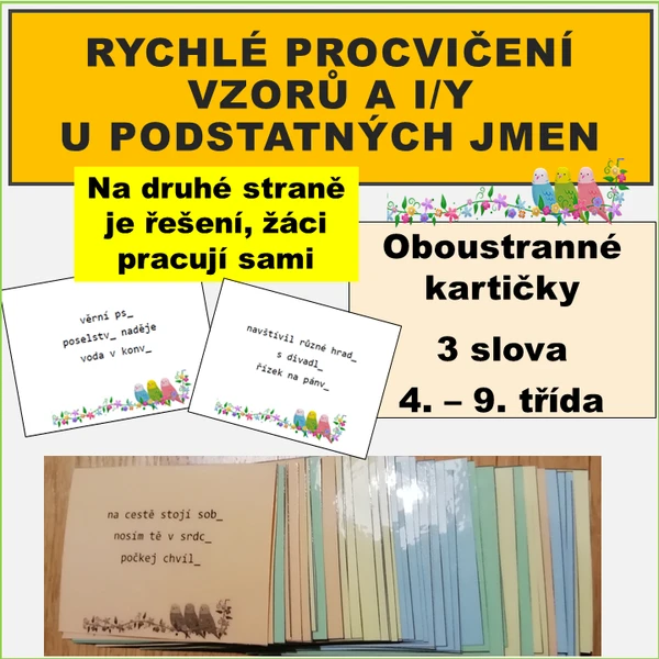 Rychlé procvičení vzorů + i/y podstatných jmen 1