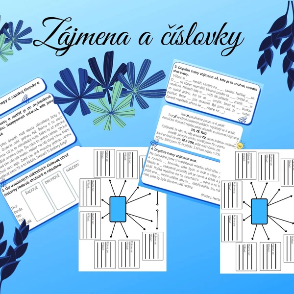 Zájmena a číslovky  1