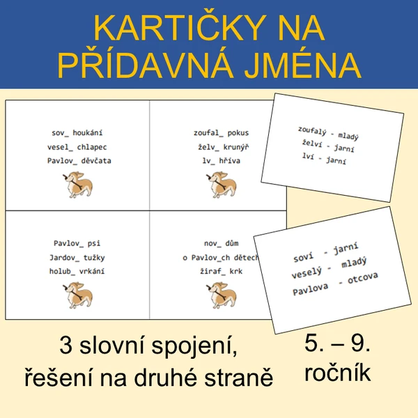 PŘÍDAVNÁ JMÉNA - kartičky 1