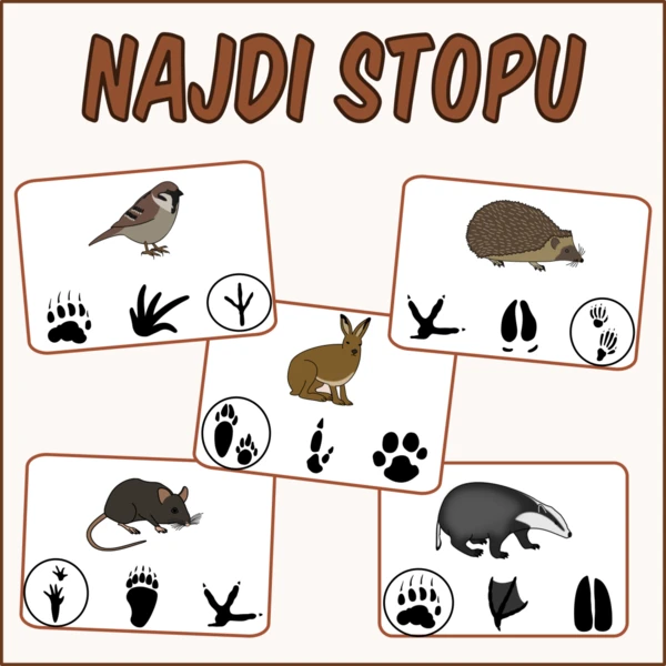 Stopy zvířat 1