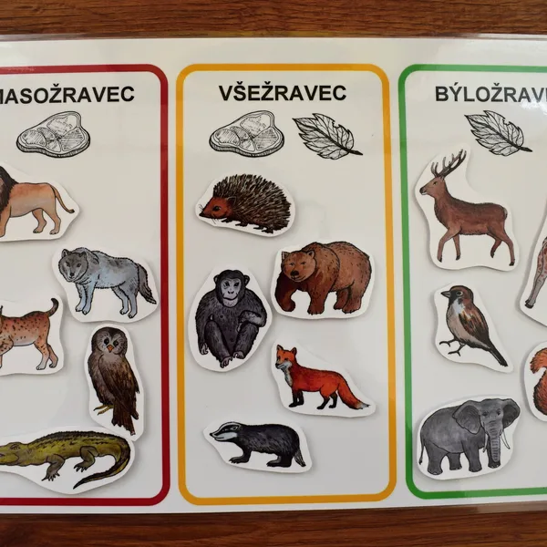 Masožravec, všežravec, býložravec 1