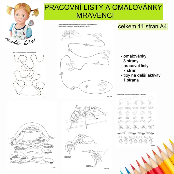 PRACOVNÍ LISTY A OMALOVÁNKY - MRAVENCI 1