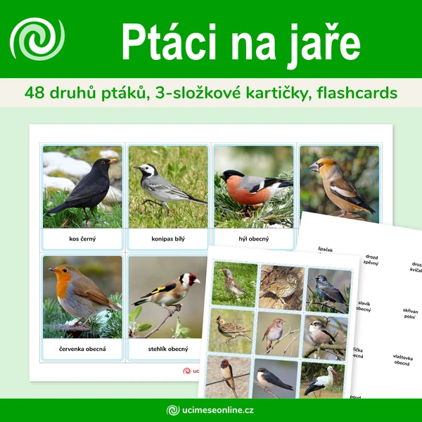 Ptáci na jaře - 48 druhů ptáků, 3-složkové kartičky, flashcards 1