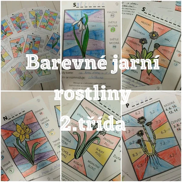 Barevné jarní rostliny 2. třída 1