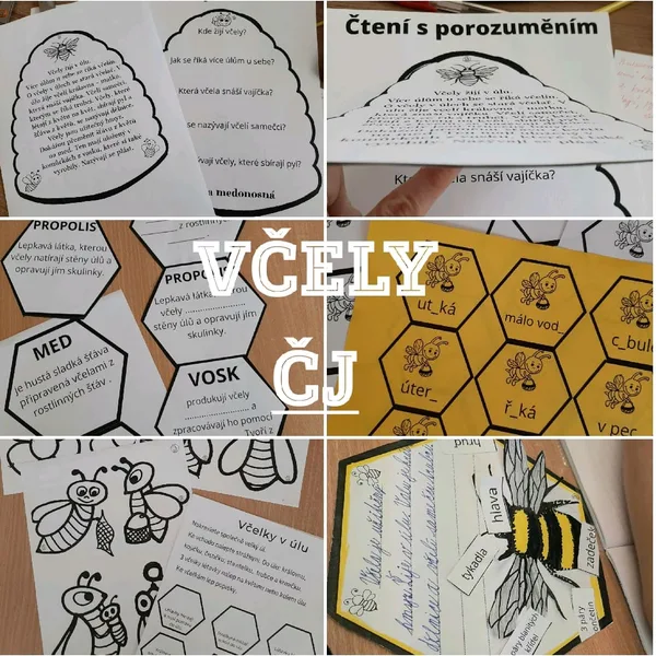 VČELY - ČJ 1