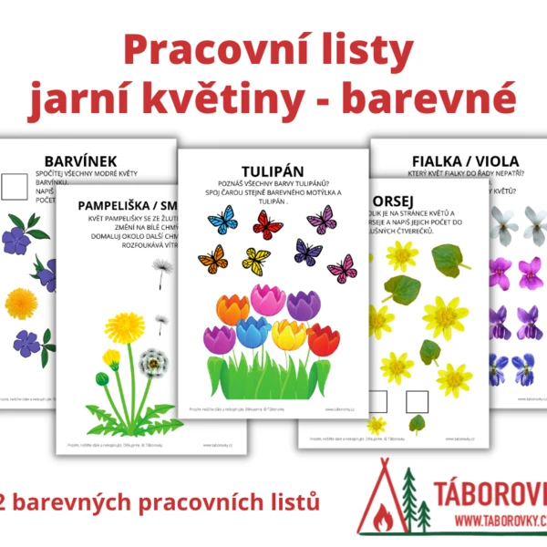 Pracovní listy jarní květiny barevné 1