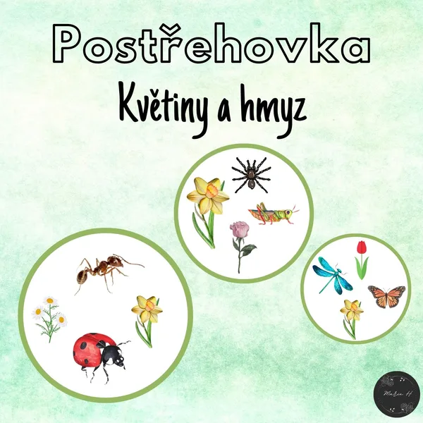 Květiny a hmyz, postřehovka 1