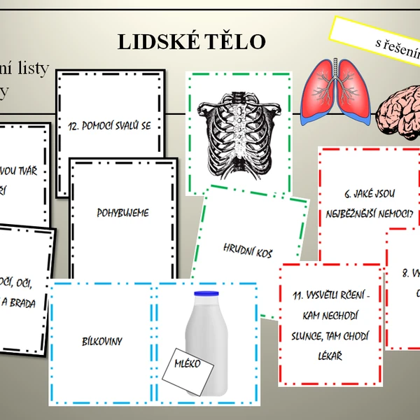 Lidské tělo 1